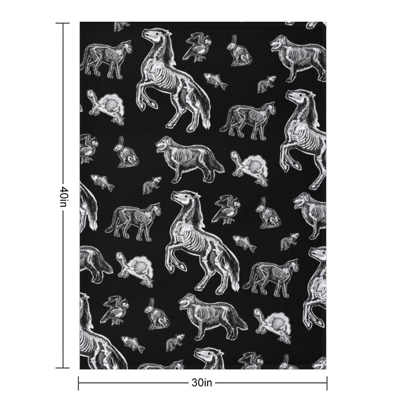 Veterinary Technician :: X-ray - огляд і ціна 3D Printing X Ray
