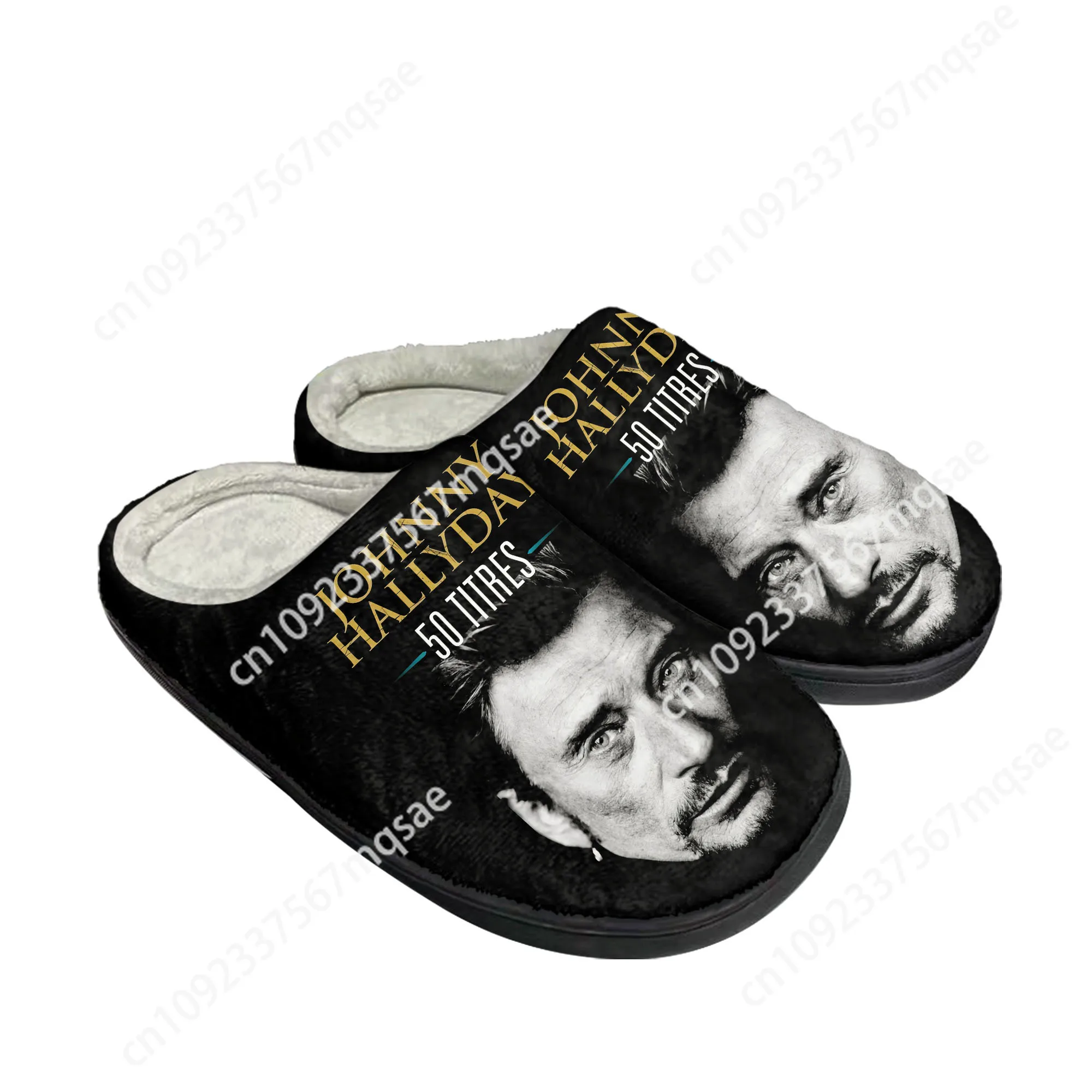 Johnny Hallyday Rock Singer Ho - огляд і ціна 3D Printing Rock